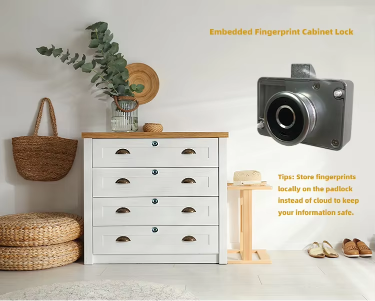 2 1 Intelligent cabinet lock