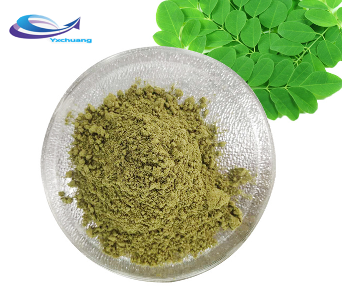 Barley grass powder