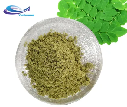 Supply Freeze-dried Vegetable Kale extract powde