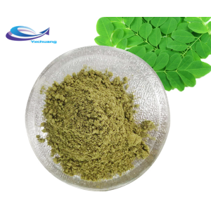 Supply Freeze-dried Vegetable Kale extract powde