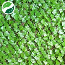 Folha de bordo de luz falsa com junta telescópica