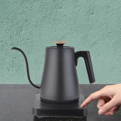 Customized Brand Electric Kettle with Gooseneck Spout