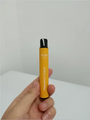 Disposable Puff R&M Hit 1000 Puffs Device