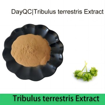 استخراج Tribulus terrestris العضوي الطبيعي Saponin 40 ٪