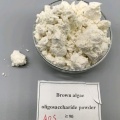 التحلل الأنزيمي المنشط الحيوي ألجينات قليل السكاريد