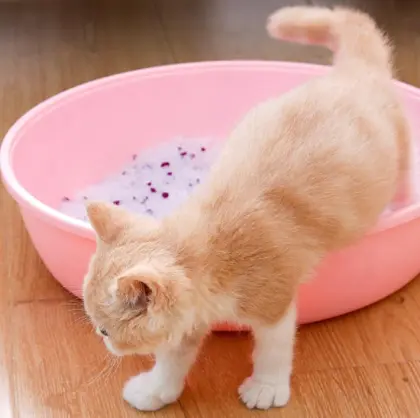 China Factory 3.8L Blue Silica Gel Cat Sand Cat Cleaning Fresh Crystal Cat Litter