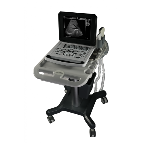 Notebook Black and White Ultrasound Machine for Obstetrics