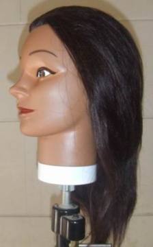 Training Head -Th0022