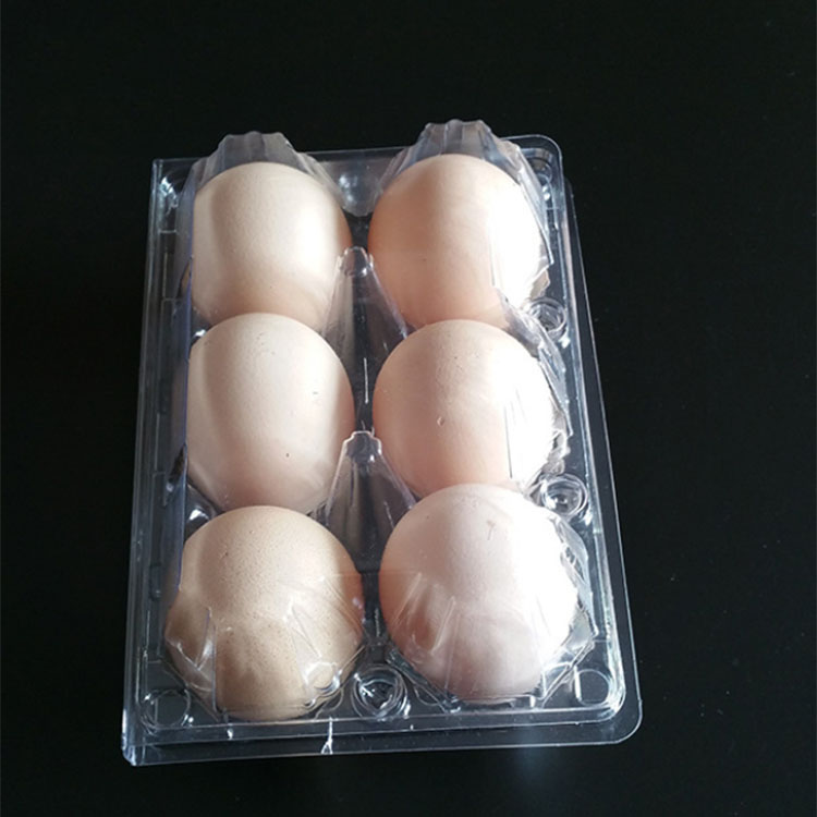 Foldable plastic blister chicken egg tray