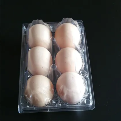 Foldable plastic blister chicken egg tray