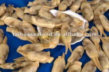 Frozen Vacuum Razor Clam Meat(200-300)