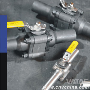 Three Pieces Forged Steel 1000 Psi Threaded/Screwed Ball Valve
