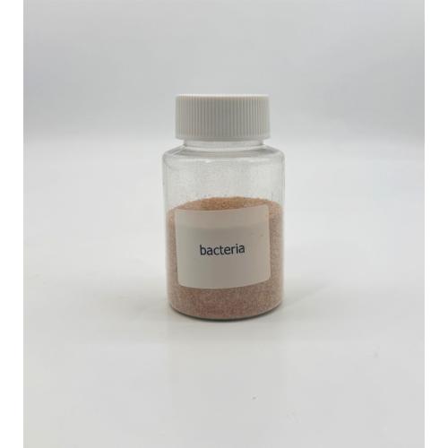 Nitrifizing Bakterienmittel für die Abwasserbehandlung verwendet