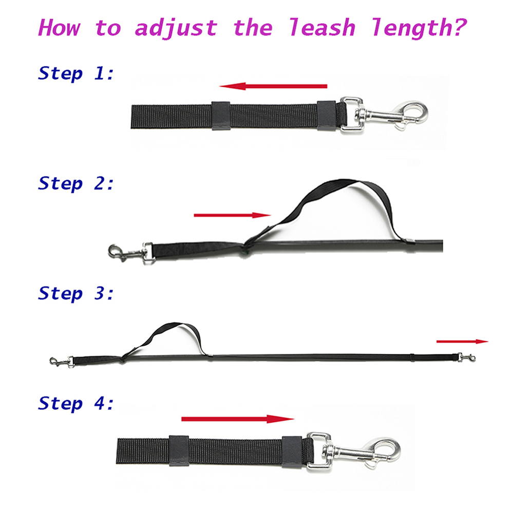 best small dog leash