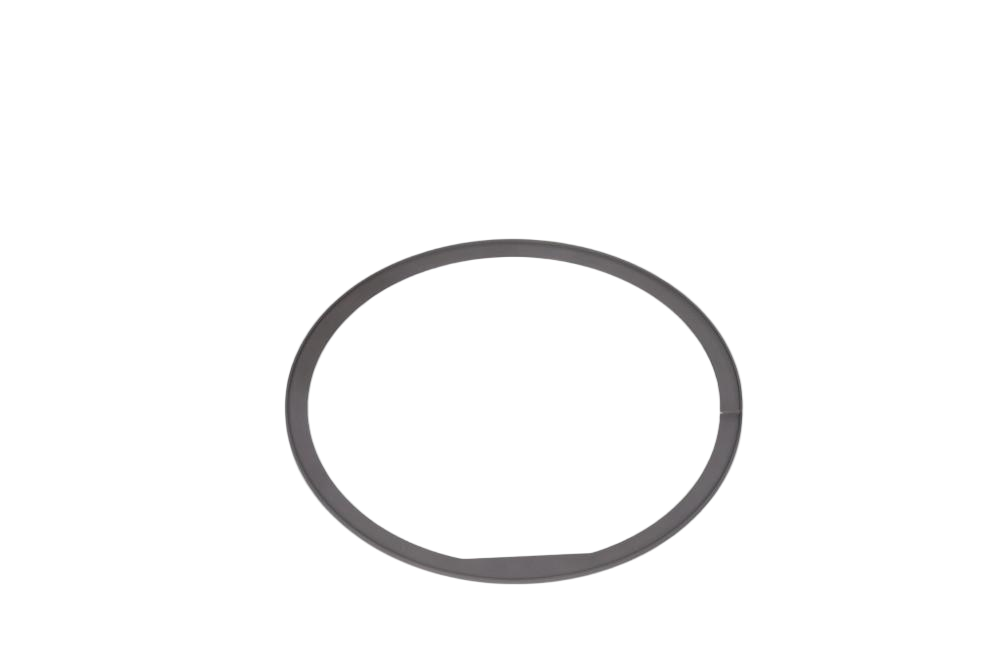 Graphite sealing ring