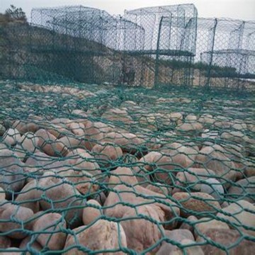 PVC coated gabion box for sale
