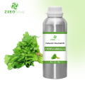 100% Pure And Natural Coriander Essential Oil High Quality Wholesale Bluk Essential Oil For Global Purchasers The Best Price