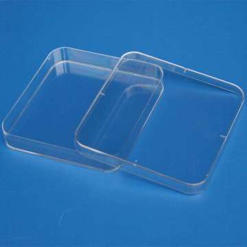Placas de Petri de plástico desechables cuadradas