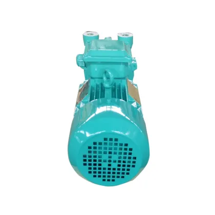 Siemens Elmo F 2BV2 Liquid Ring Vacuum Pump