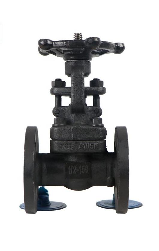 DN25-DN300 Forged steel gate valve