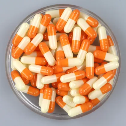 Sell Well Mixed Empty Pill Capsules Customized Color Halal Empty Capsule