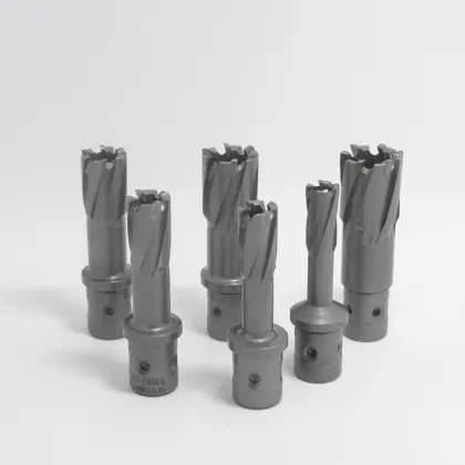 Fein Shank TCT Annular Cutter for Steel Structure Drilling