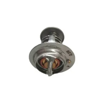 A2300 Diesel Engine Parts - Thermostat 4900260