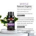 100% Natural Myrtle Essential Oil Diffusers For SPA Perfume