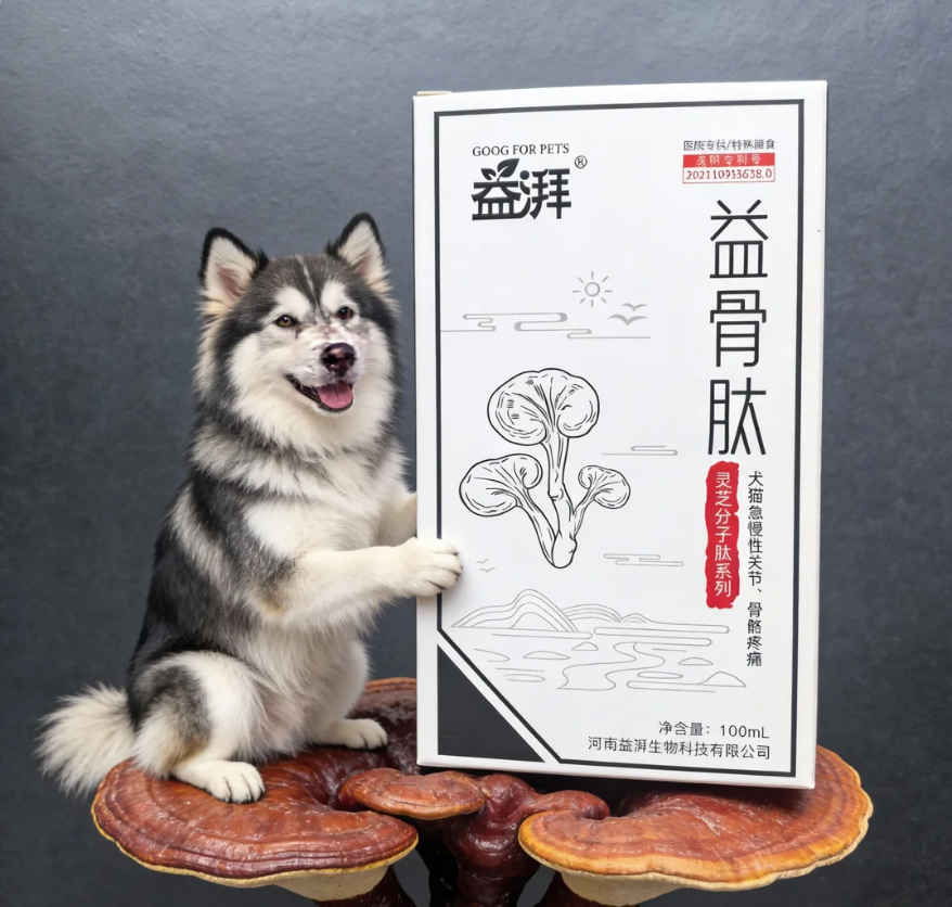 Pet Joint and Bone Supplements