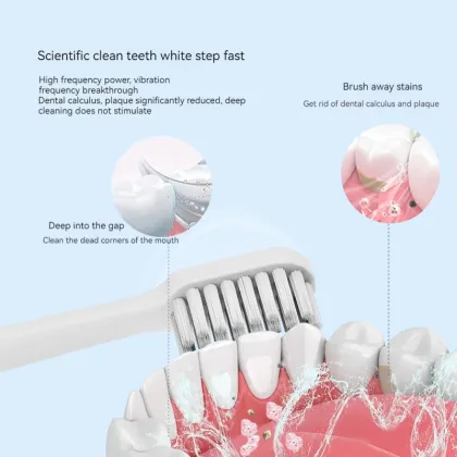 2023 Wholesale Adult Electric Toothbrush: Ultrasonic Sonic Automatic Smart Toothbrush