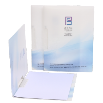 Custom New Thickened Plastic A4 Swing Clip File Folder for Office and School