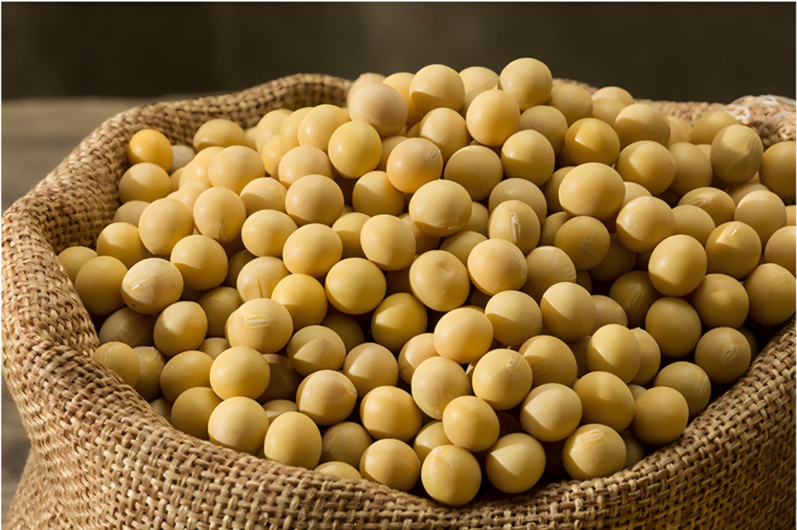soybeans(1) soybeans(1)