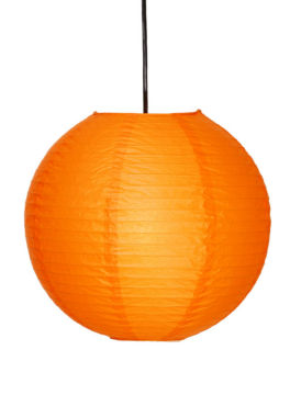 2013 new design decorative pendant lamp
