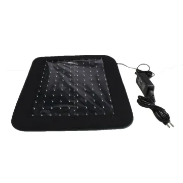 Hanoverian Horse Therapeutic Red LED Lamp