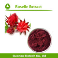 Extrait de Roselle / Extrait d&#39;Hibiscus Sabdariffa Poudre 10:1