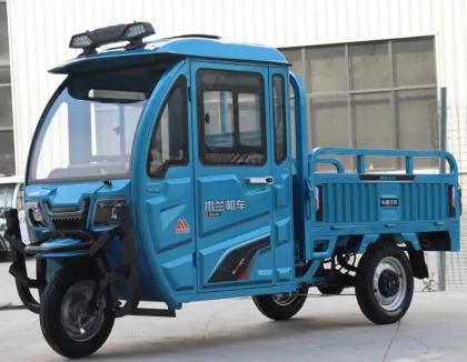 Electric Rickshaw Car Tricycle For Passage