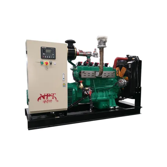 China Factory Power 50kVA 40KW Biomass Gas Generator Set