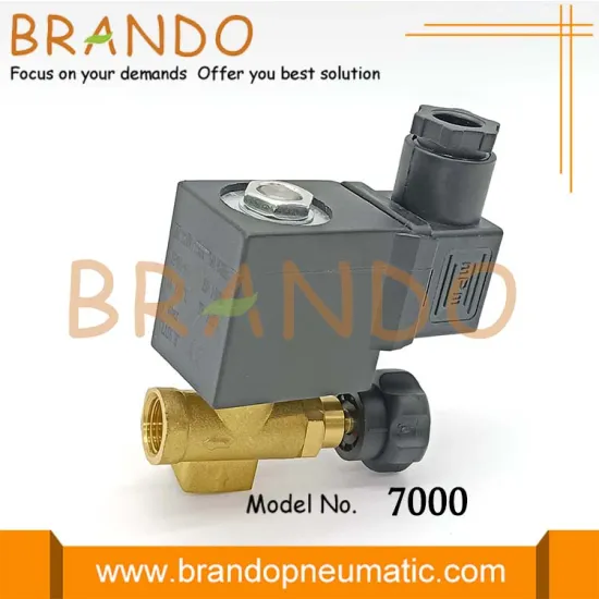SERIE 7000 1/4'' Brass Solenoid Valve For Steam Iron Machine 24V 110V 120V 220V 230V DC AC