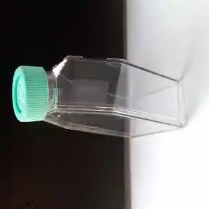 25ML cell culture flasks