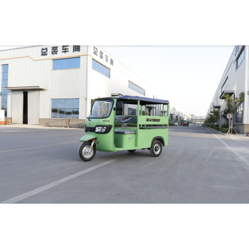 Multi person sightseeing tricycle