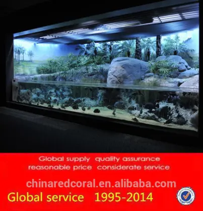 building an aquarium