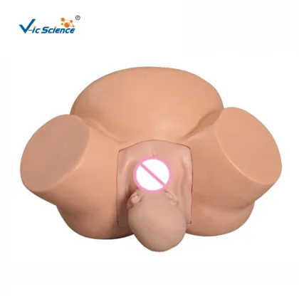 Medical Delivery Teaching Model