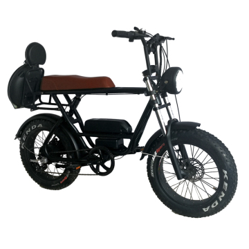Fat Tire Electric Bike: 1000W 48V 2-Wheel E-Bike with 750W Engine for Snow and Tough Terrain
