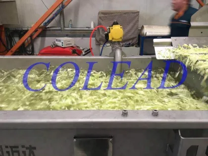 Lettuce washing machine/salad washing machine