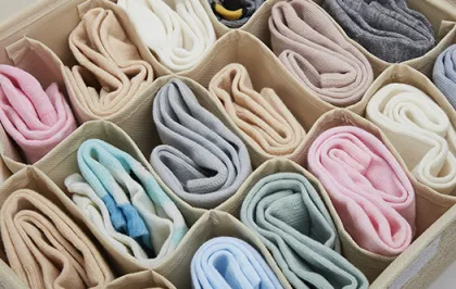 Lingerie Closet Underwear Organizer