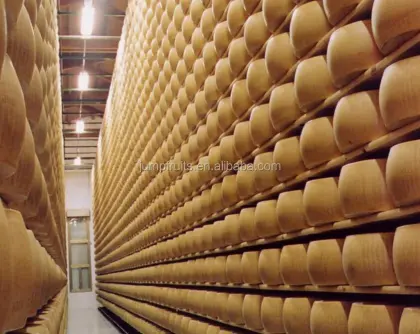 Pasteurized Yogurt Dairy Production Line