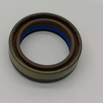 DMHUI Factory Directly Supplies COMBI SF19 Type 12036965B FPM Oil Seal for 370815