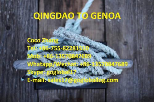 Shandong Qingdao Sea Freight ke Italia Genoa