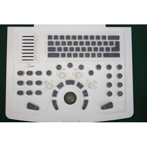Portable black and white Diagnostic Ultrasound scanner