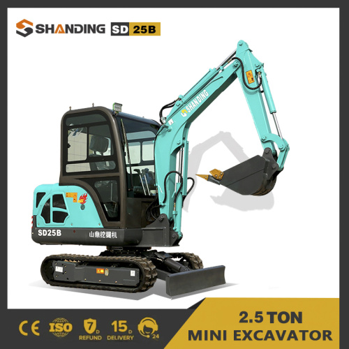 Small Crawler 1 Ton Mini Digger Bagger